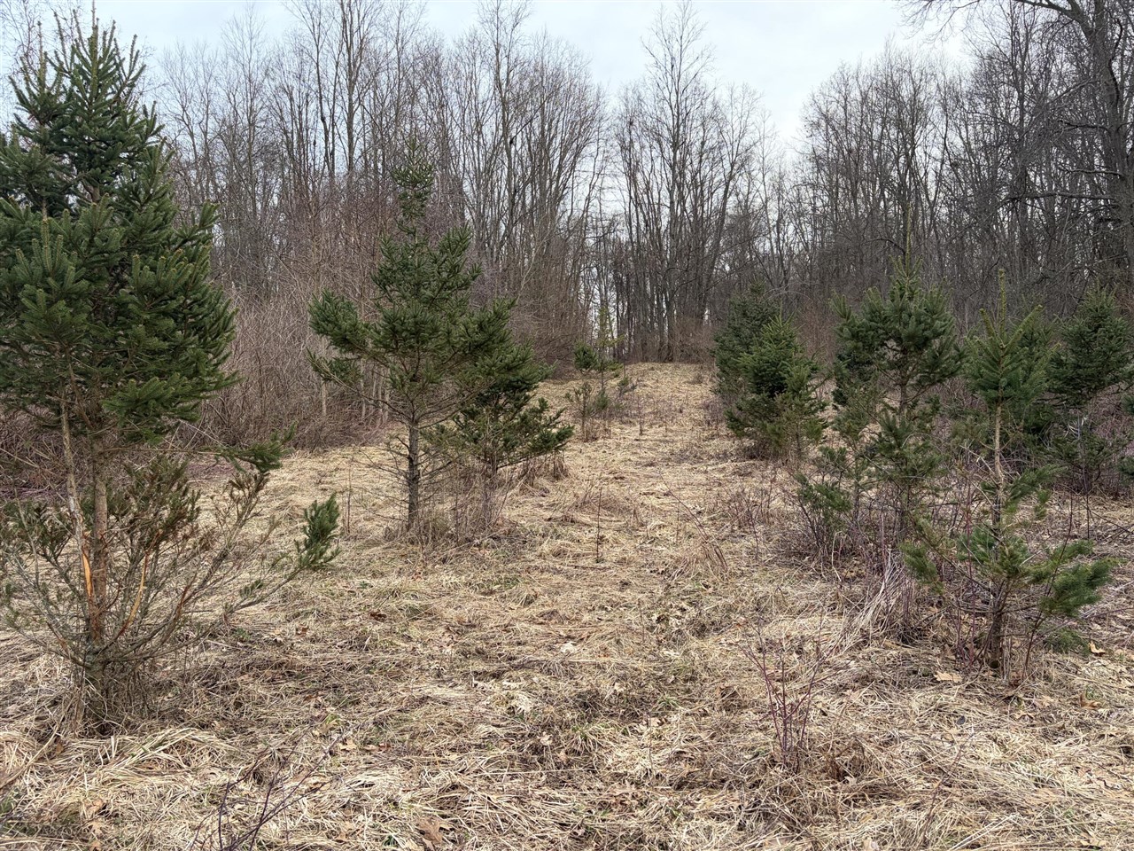 7725 Hayward Rd Road, Delton, MI, 49046