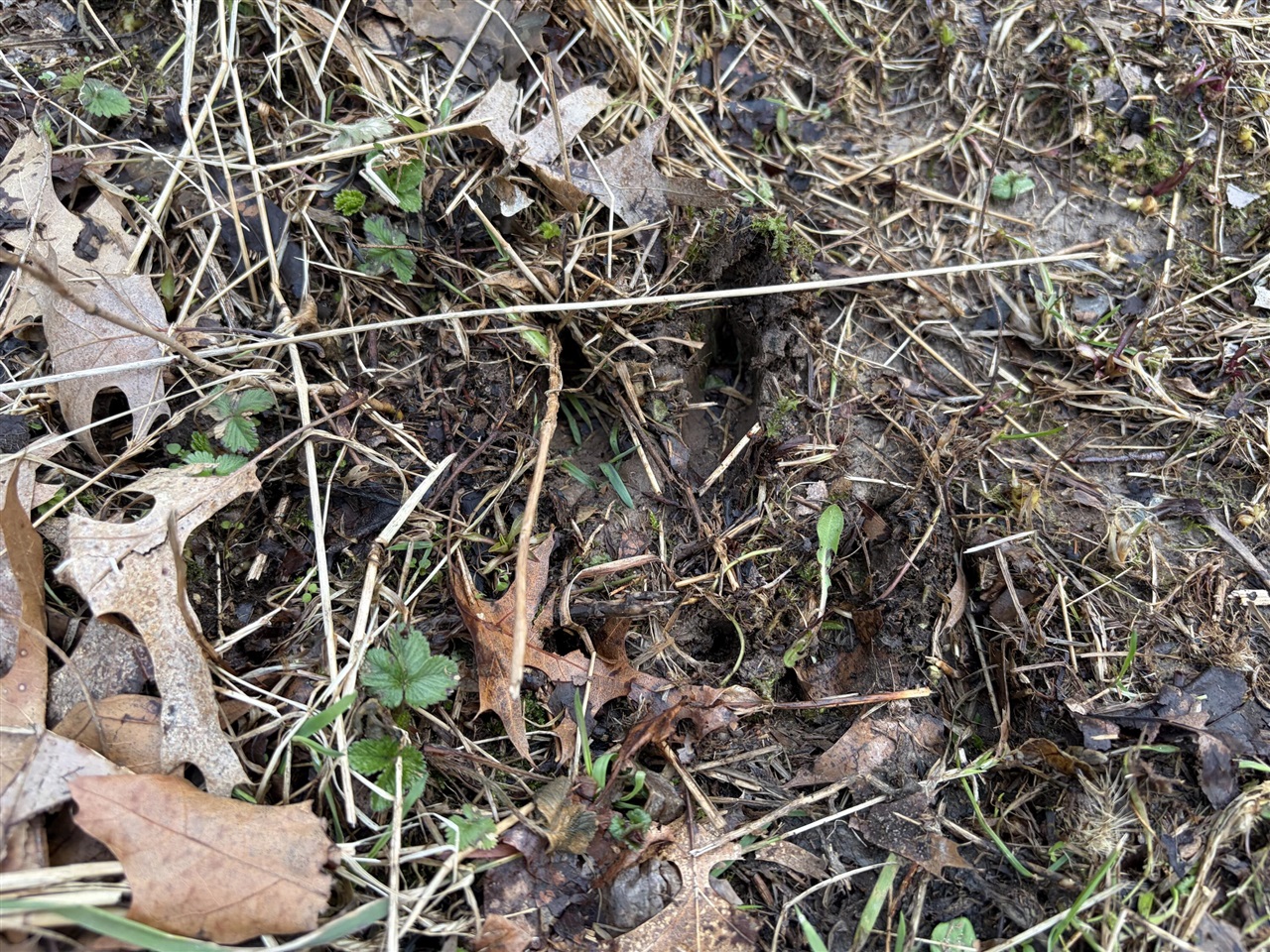 7725 Hayward Rd Road, Delton, MI, 49046