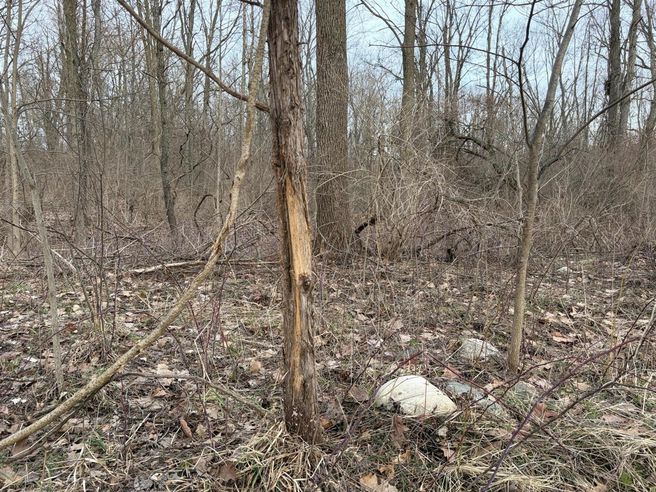 7725 Hayward Rd Road, Delton, MI, 49046