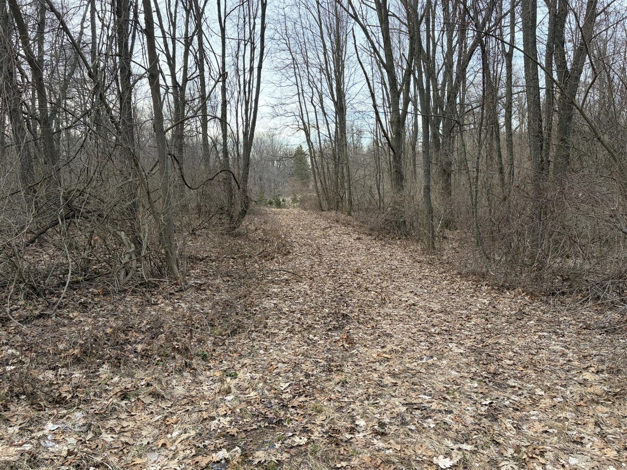 7725 Hayward Rd Road, Delton, MI, 49046