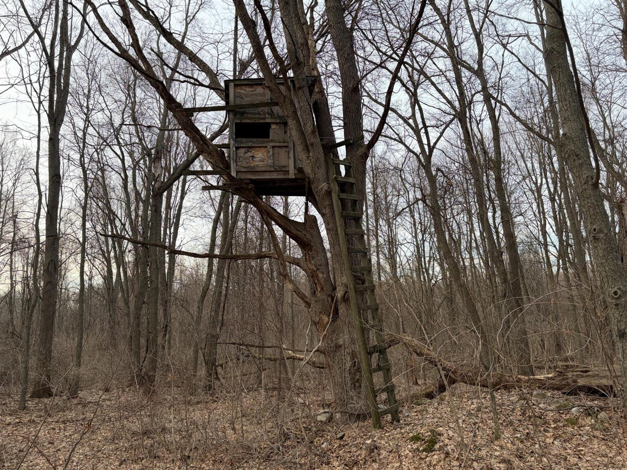 7725 Hayward Rd Road, Delton, MI, 49046