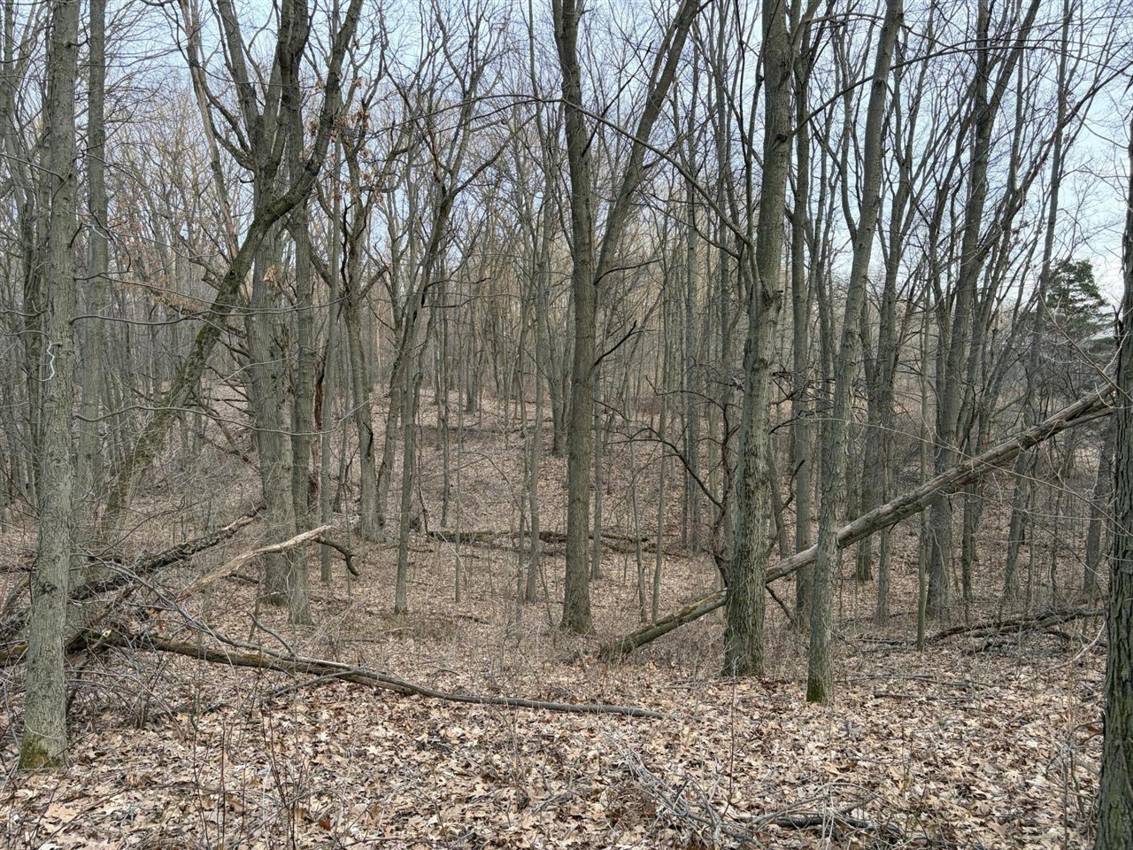 7725 Hayward Rd Road, Delton, MI, 49046