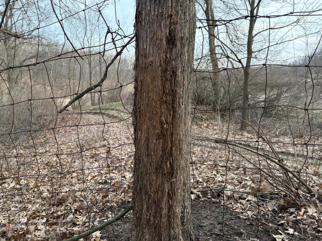 7725 Hayward Rd Road, Delton, MI, 49046