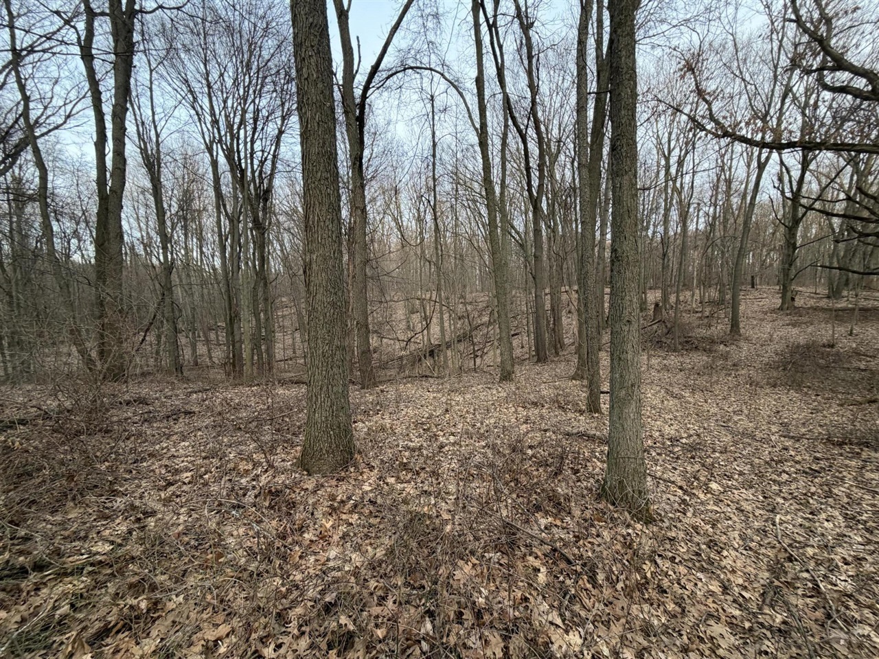 7725 Hayward Rd Road, Delton, MI, 49046