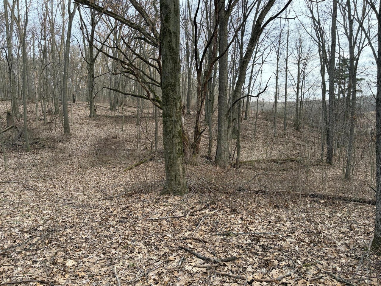 7725 Hayward Rd Road, Delton, MI, 49046