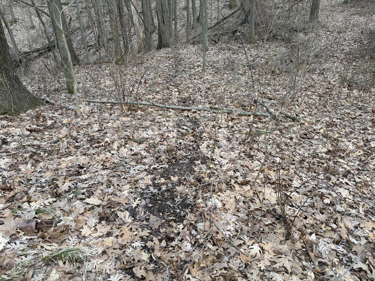 7725 Hayward Rd Road, Delton, MI, 49046