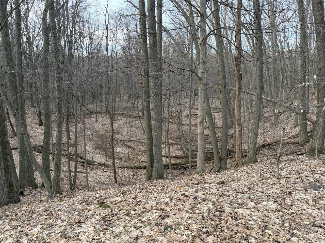 7725 Hayward Rd Road, Delton, MI, 49046