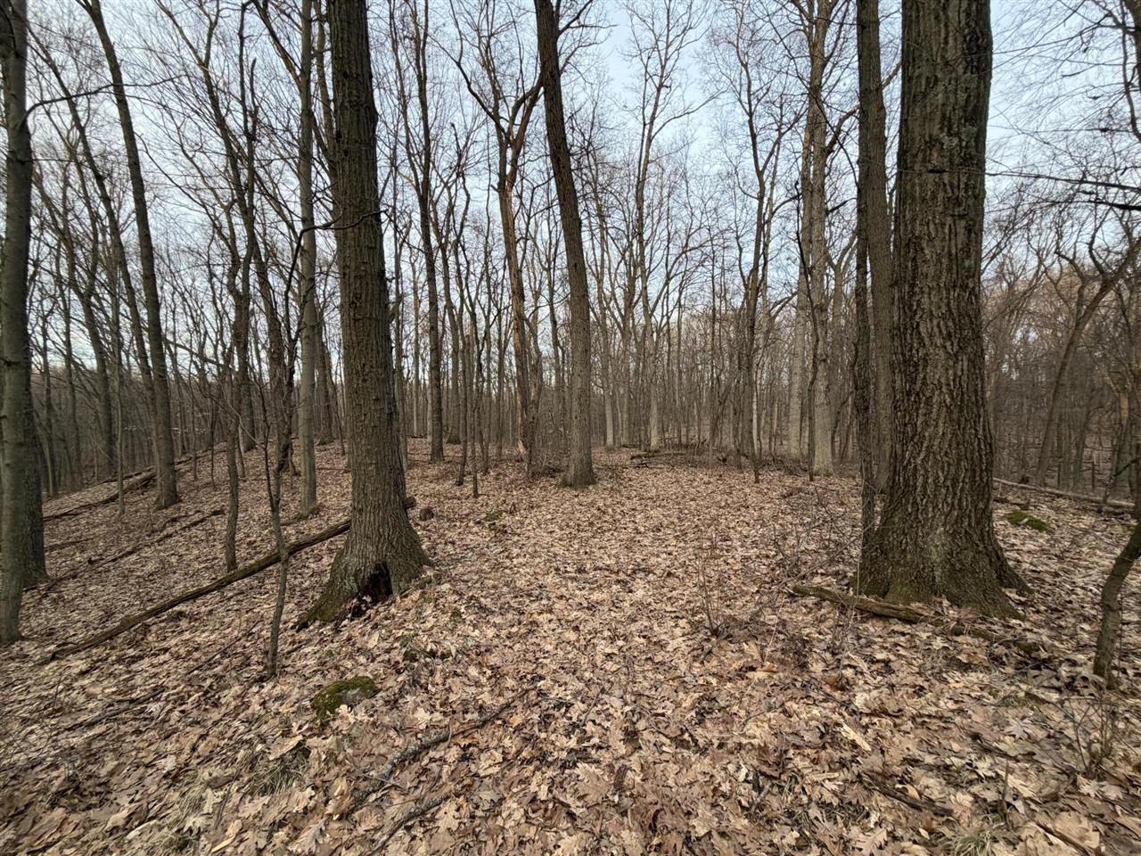 7725 Hayward Rd Road, Delton, MI, 49046