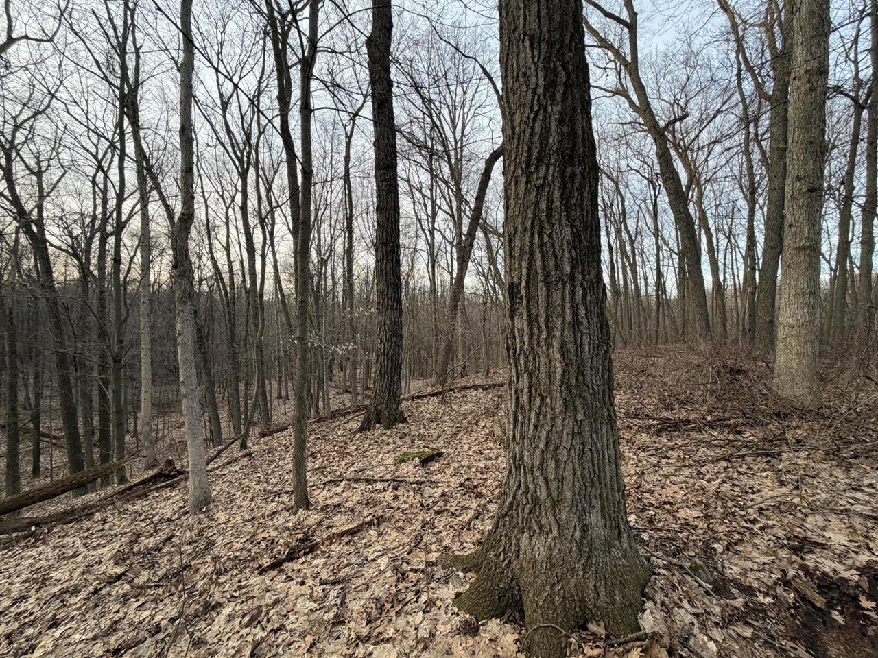 7725 Hayward Rd Road, Delton, MI, 49046