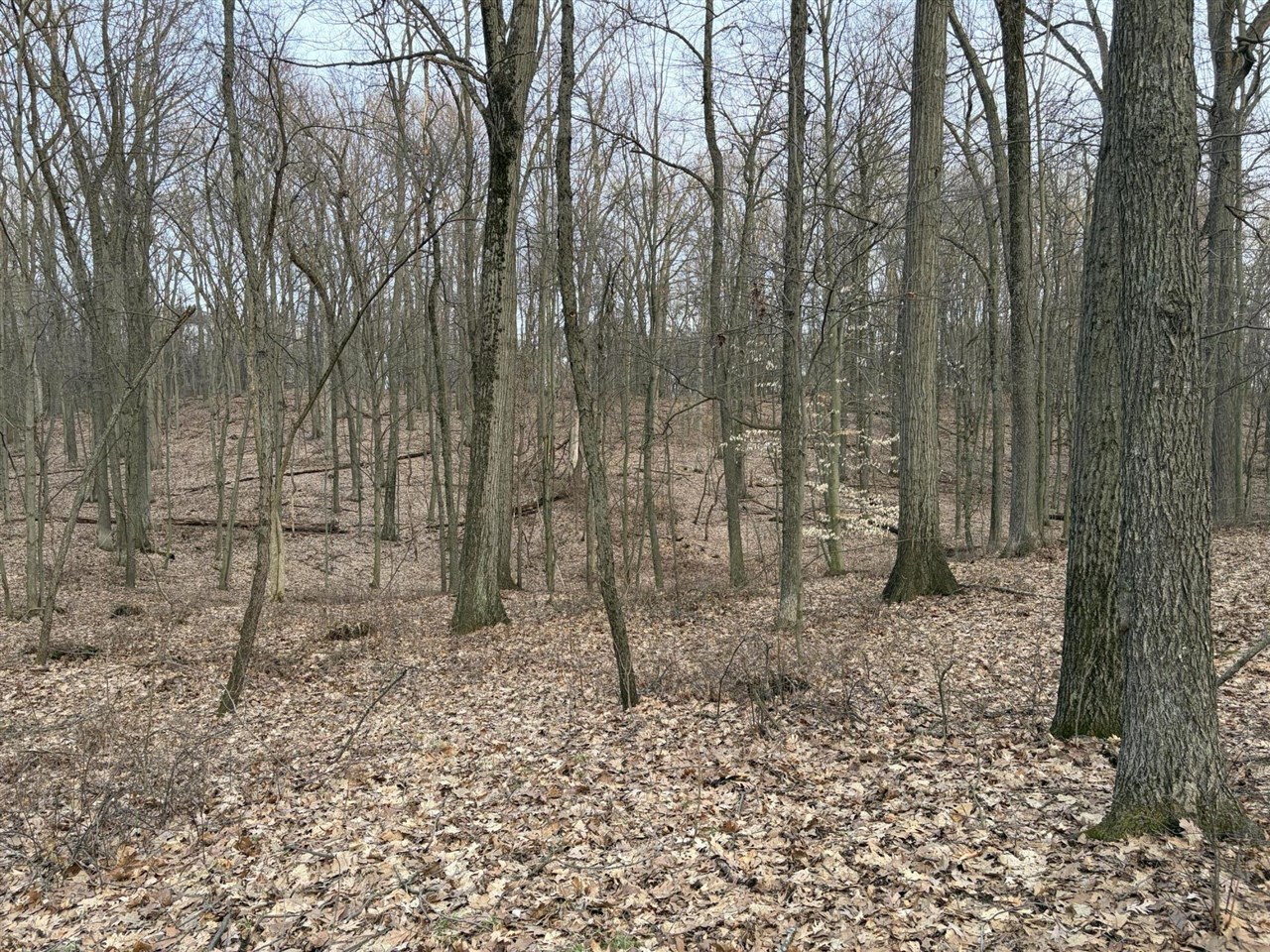 7725 Hayward Rd Road, Delton, MI, 49046