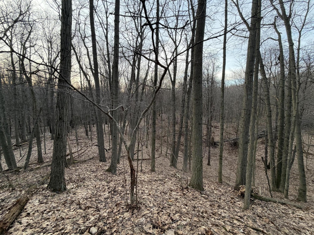 7725 Hayward Rd Road, Delton, MI, 49046