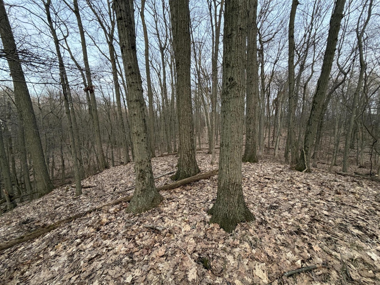 7725 Hayward Rd Road, Delton, MI, 49046