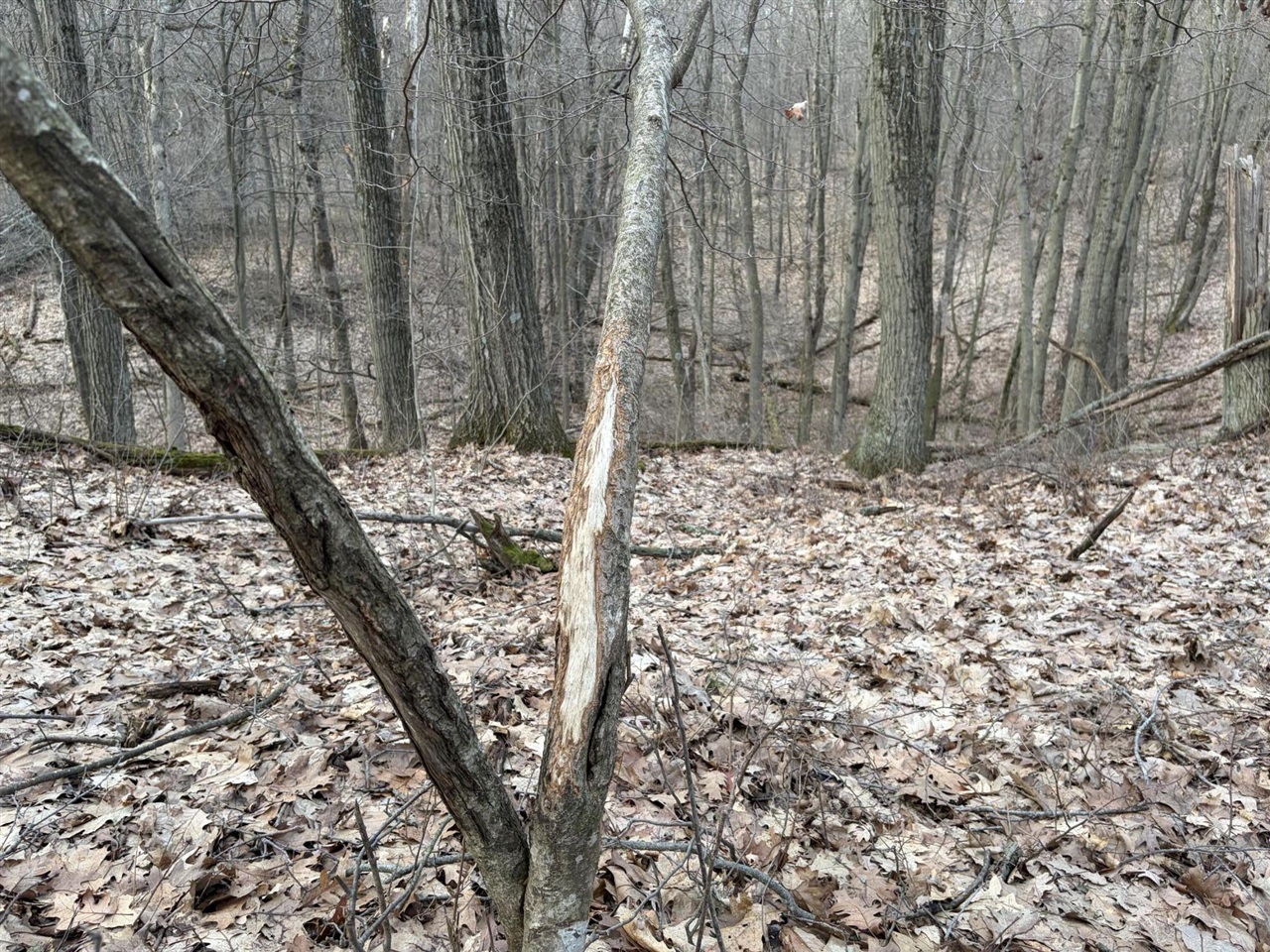 7725 Hayward Rd Road, Delton, MI, 49046