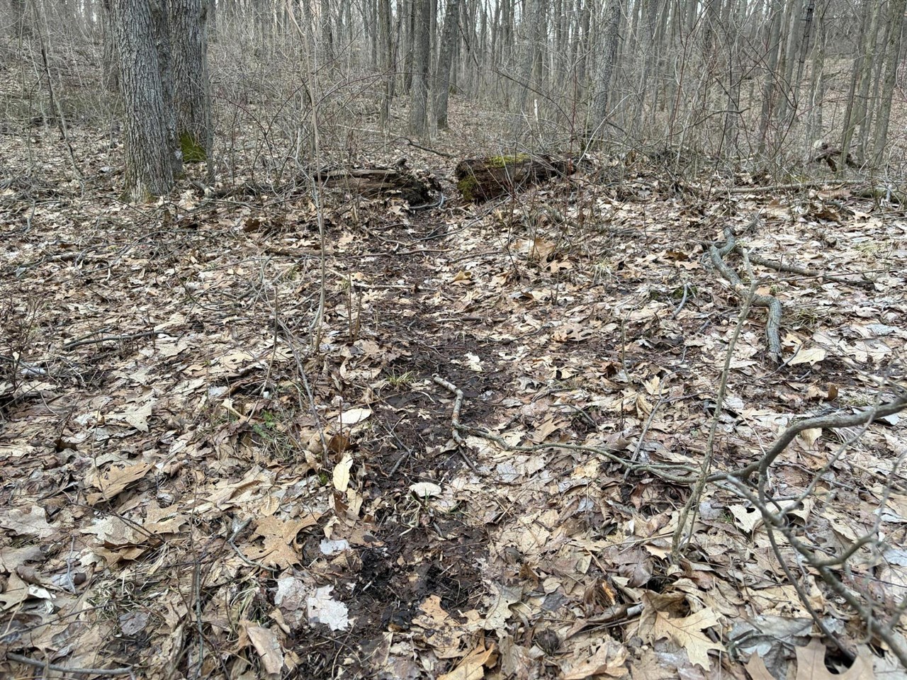 7725 Hayward Rd Road, Delton, MI, 49046