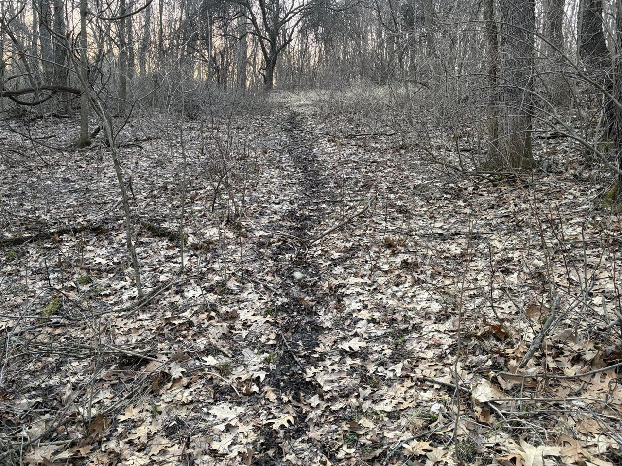 7725 Hayward Rd Road, Delton, MI, 49046