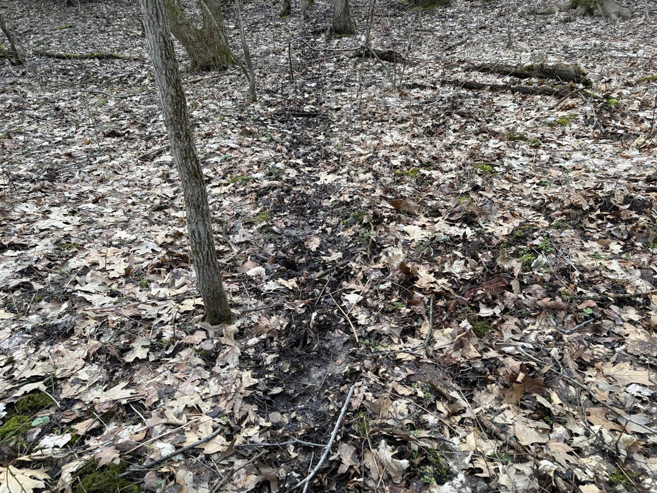 7725 Hayward Rd Road, Delton, MI, 49046