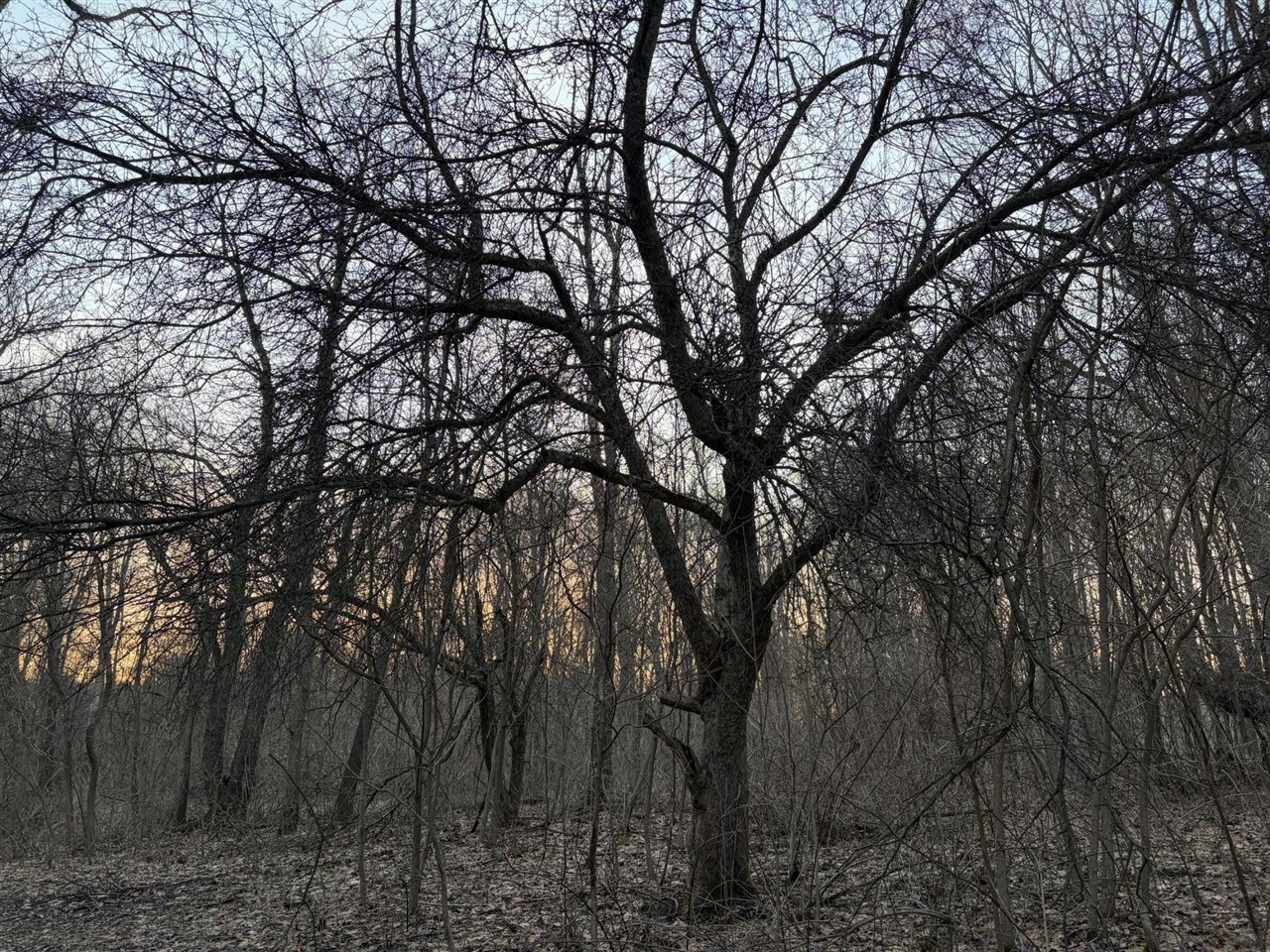 7725 Hayward Rd Road, Delton, MI, 49046