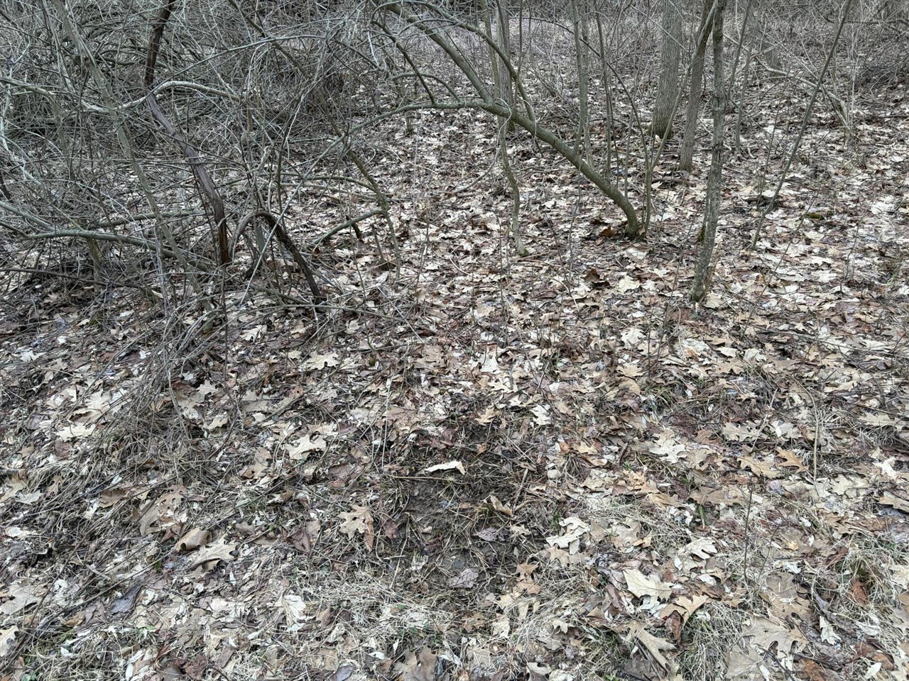 7725 Hayward Rd Road, Delton, MI, 49046