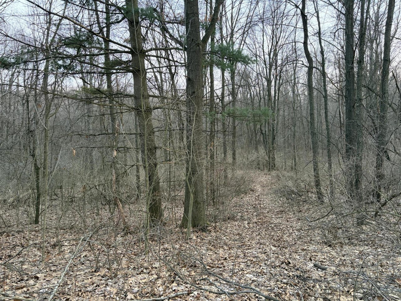 7725 Hayward Rd Road, Delton, MI, 49046