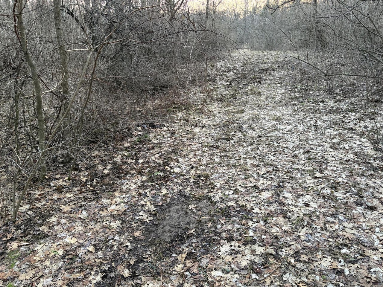 7725 Hayward Rd Road, Delton, MI, 49046