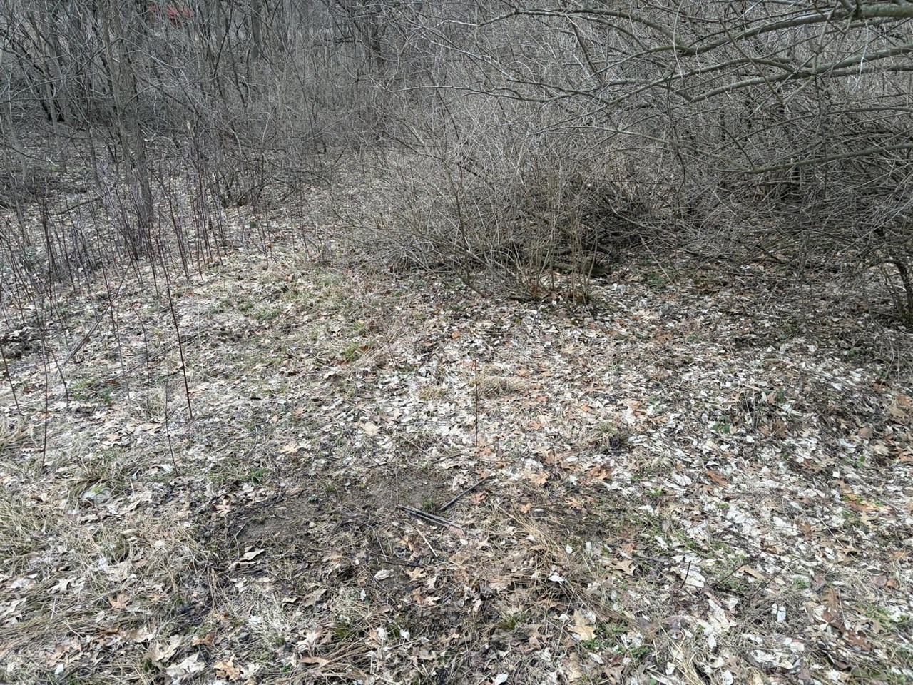 7725 Hayward Rd Road, Delton, MI, 49046