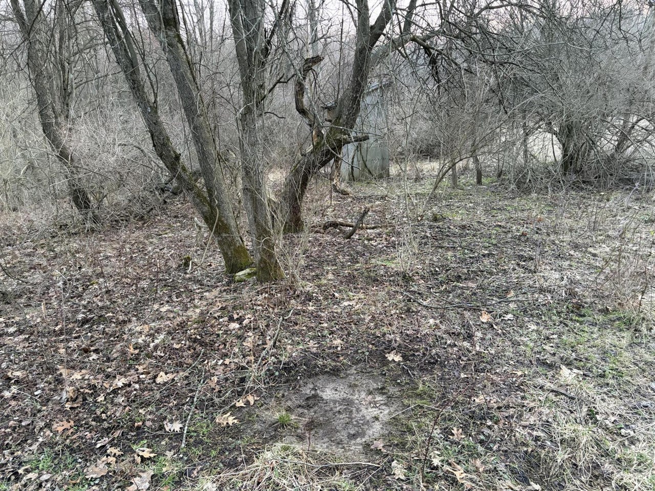 7725 Hayward Rd Road, Delton, MI, 49046