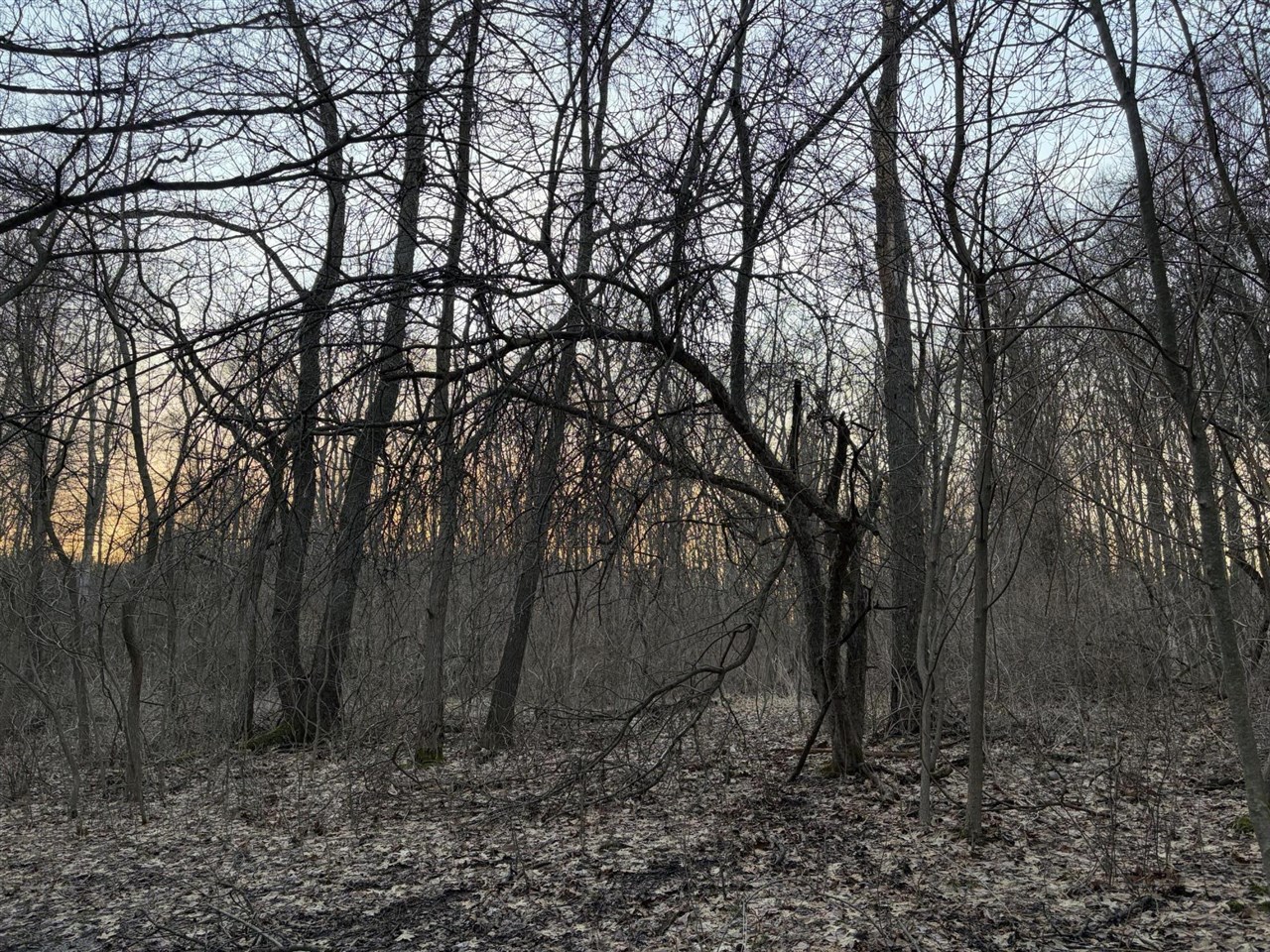 7725 Hayward Rd Road, Delton, MI, 49046