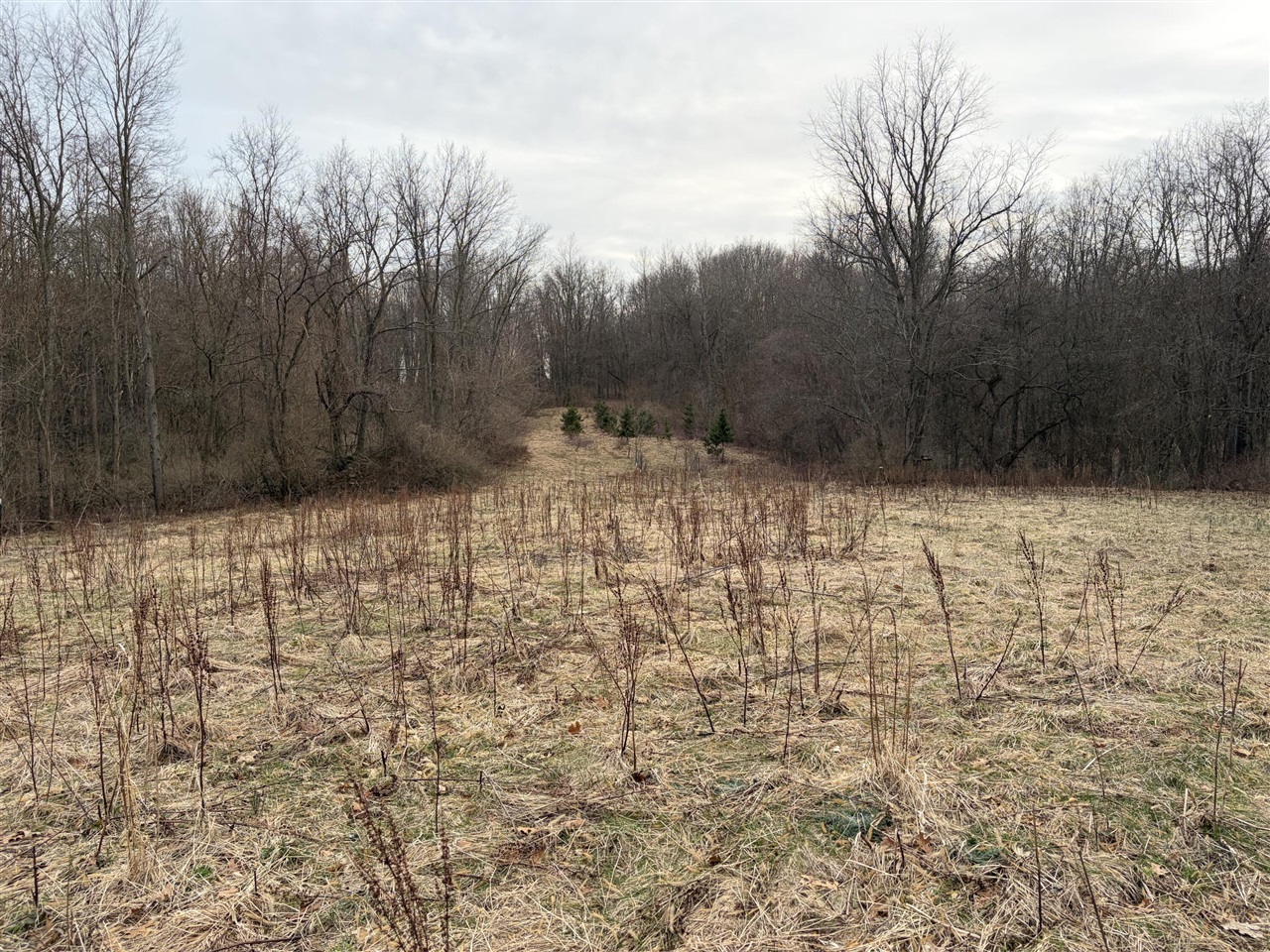 7725 Hayward Rd Road, Delton, MI, 49046