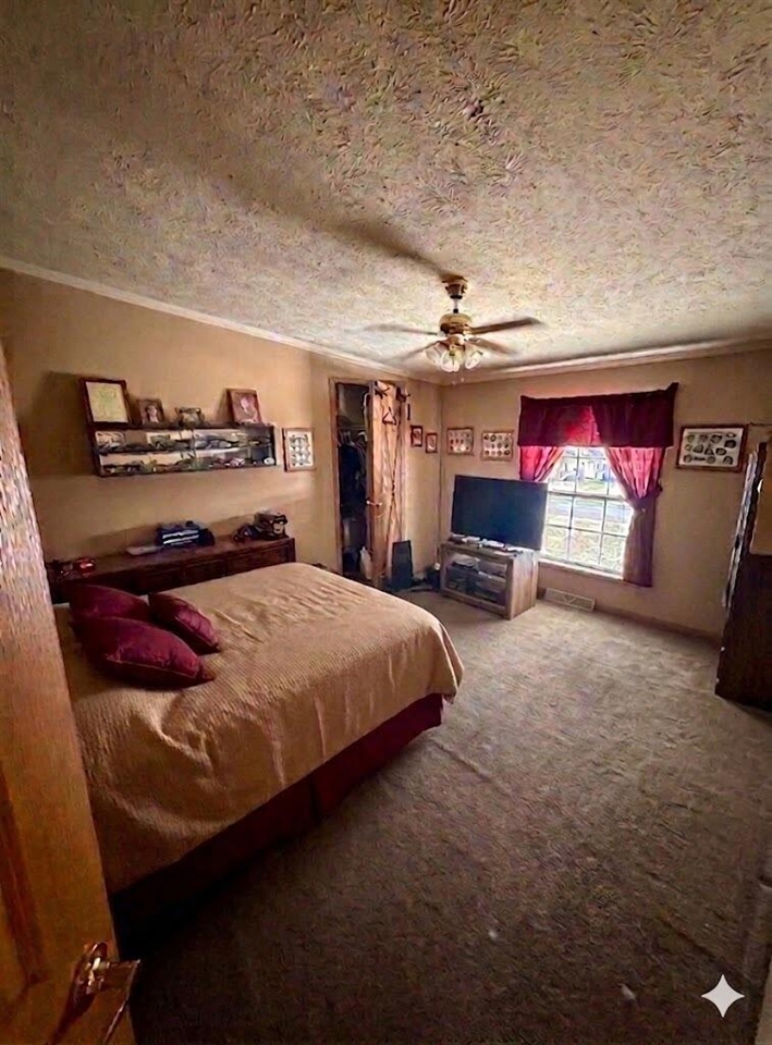 6524 N 96th Avenue, Hart, MI, 49420-8181