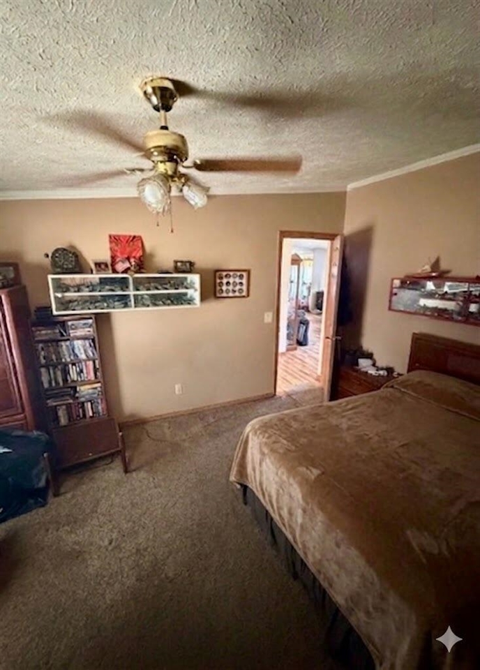 6524 N 96th Avenue, Hart, MI, 49420-8181