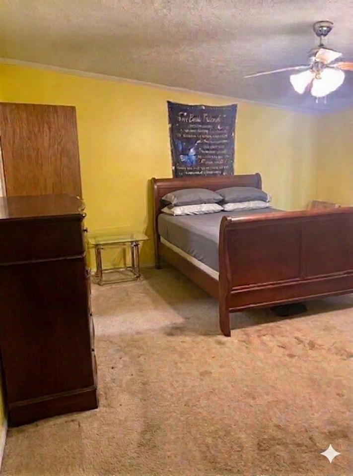 6524 N 96th Avenue, Hart, MI, 49420-8181