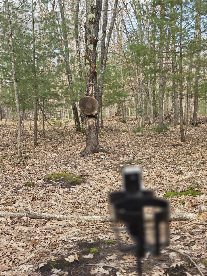 00 6 Mile Road, Irons, MI, 49644