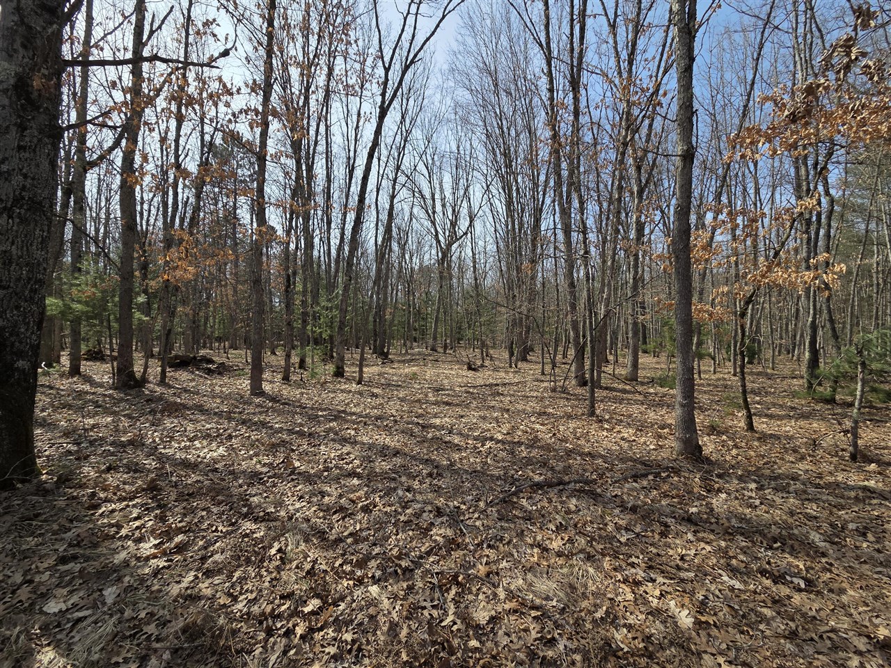 00 6 Mile Road, Irons, MI, 49644