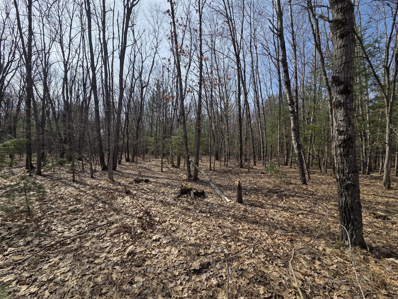 00 6 Mile Road, Irons, MI, 49644