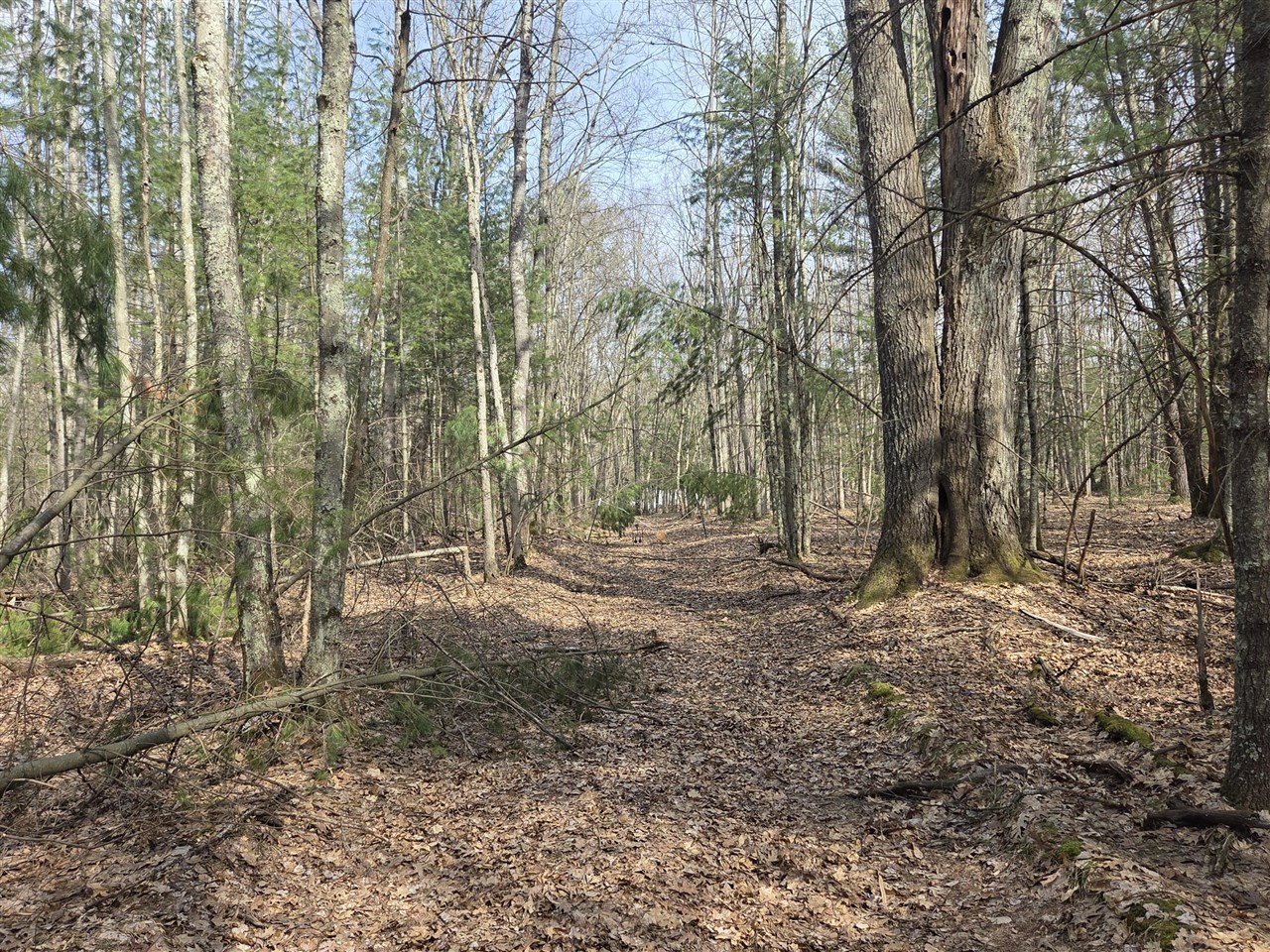 00 6 Mile Road, Irons, MI, 49644