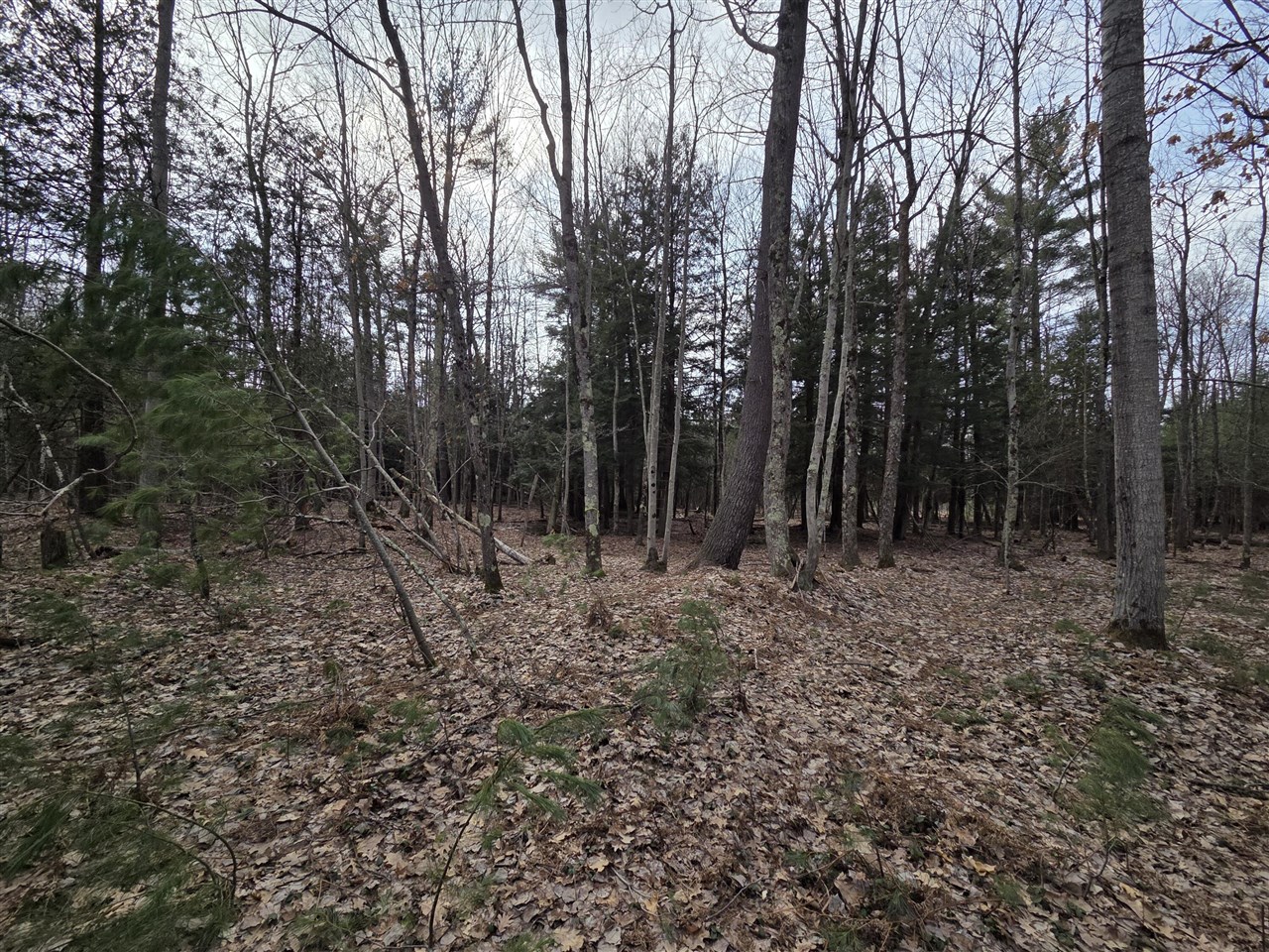 00 6 Mile Road, Irons, MI, 49644