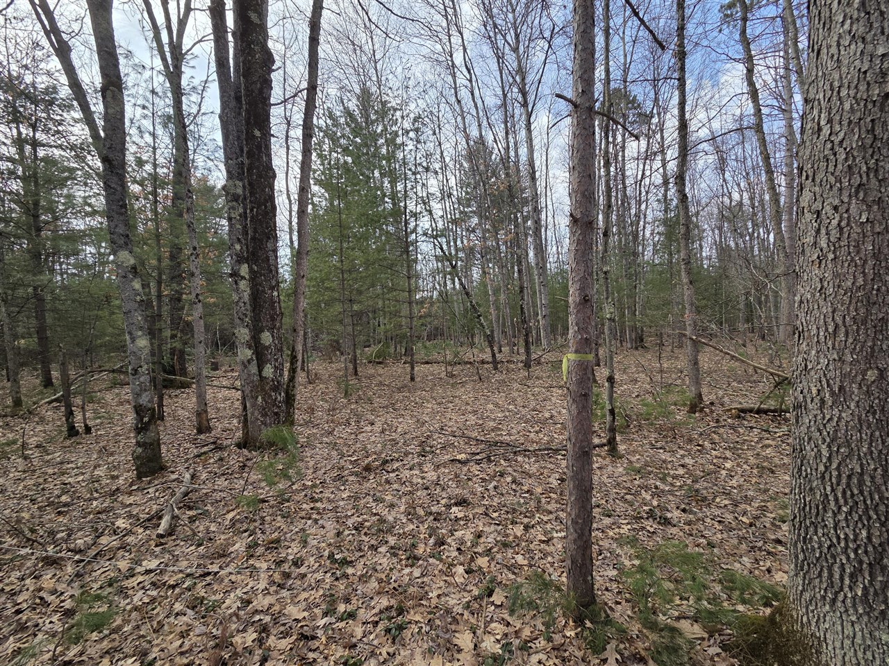 00 6 Mile Road, Irons, MI, 49644