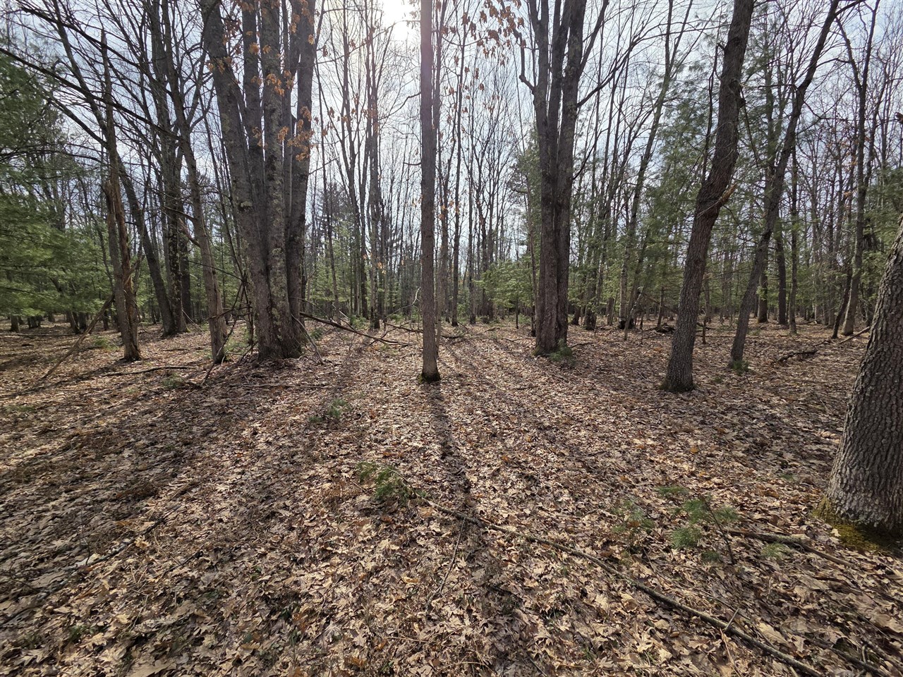 00 6 Mile Road, Irons, MI, 49644