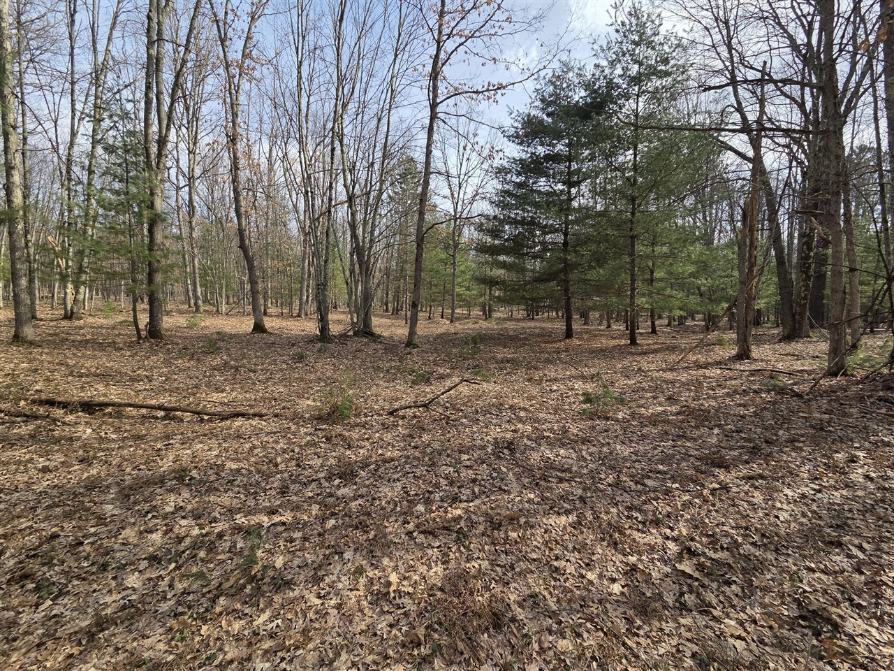 00 6 Mile Road, Irons, MI, 49644