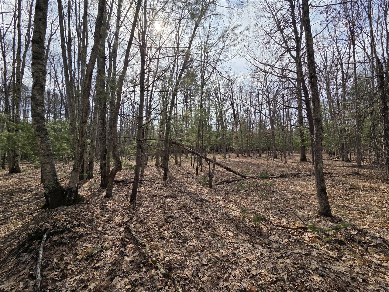 00 6 Mile Road, Irons, MI, 49644