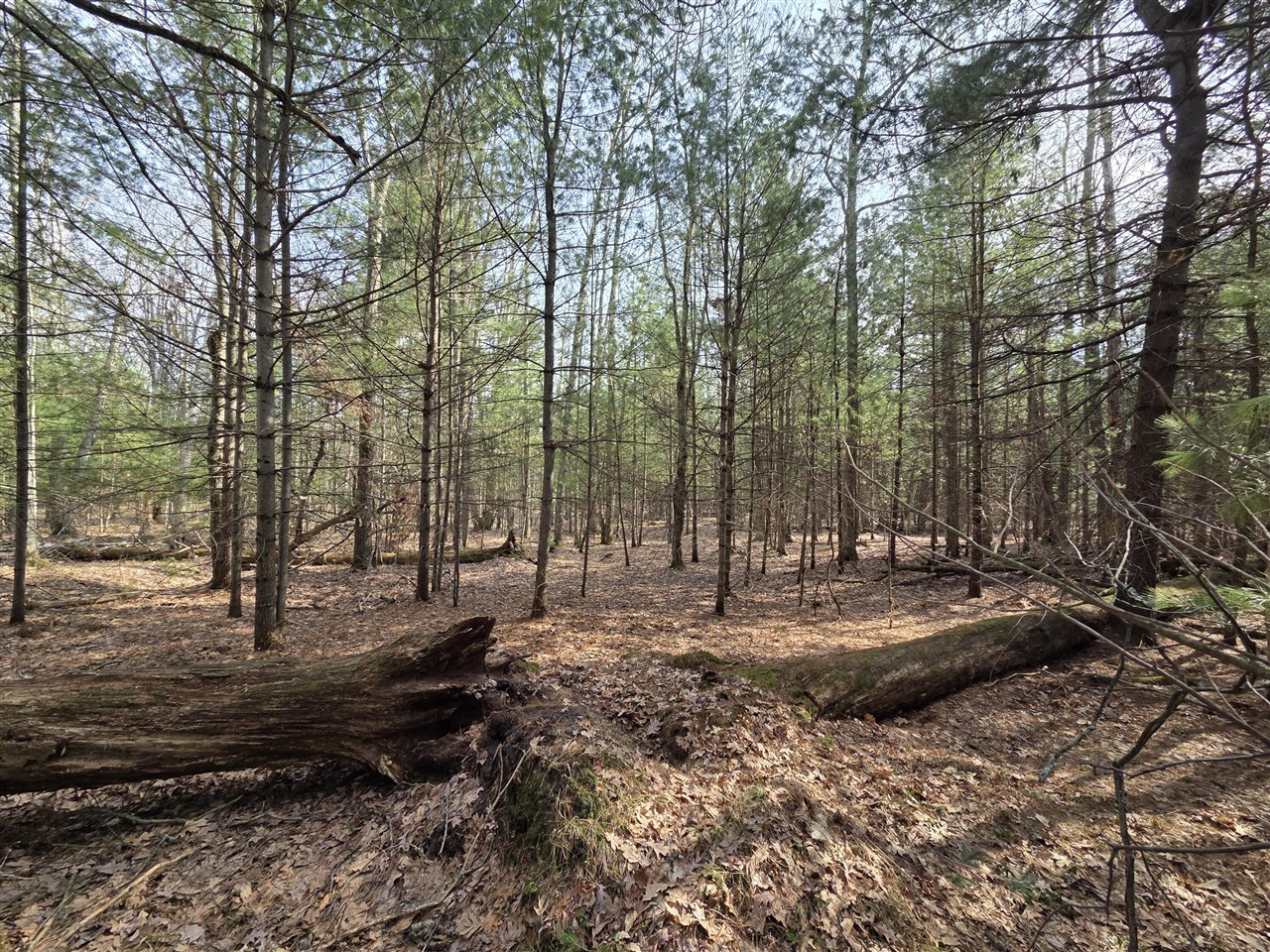 00 6 Mile Road, Irons, MI, 49644