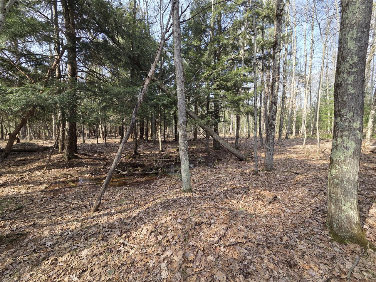 00 6 Mile Road, Irons, MI, 49644