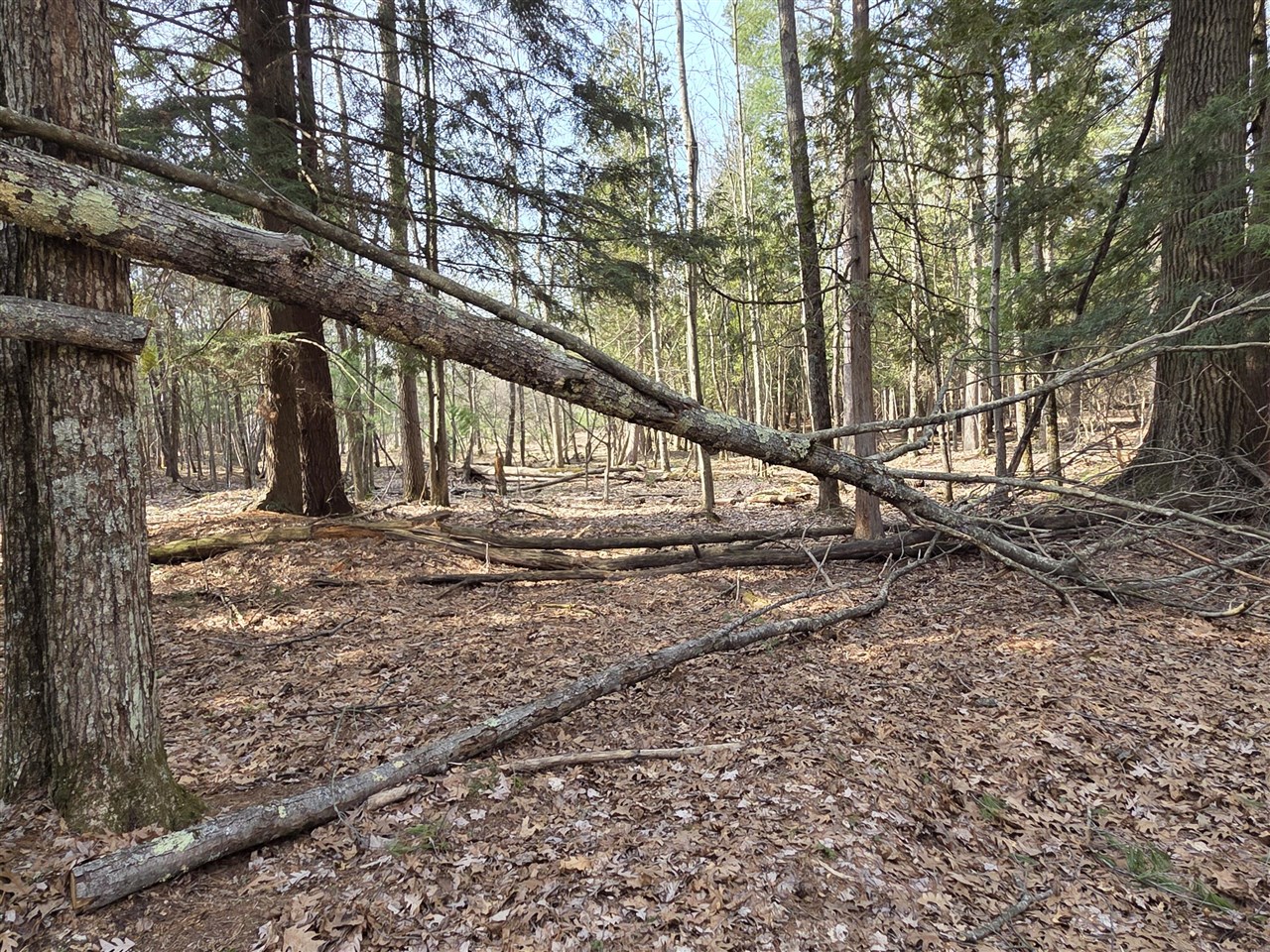 00 6 Mile Road, Irons, MI, 49644