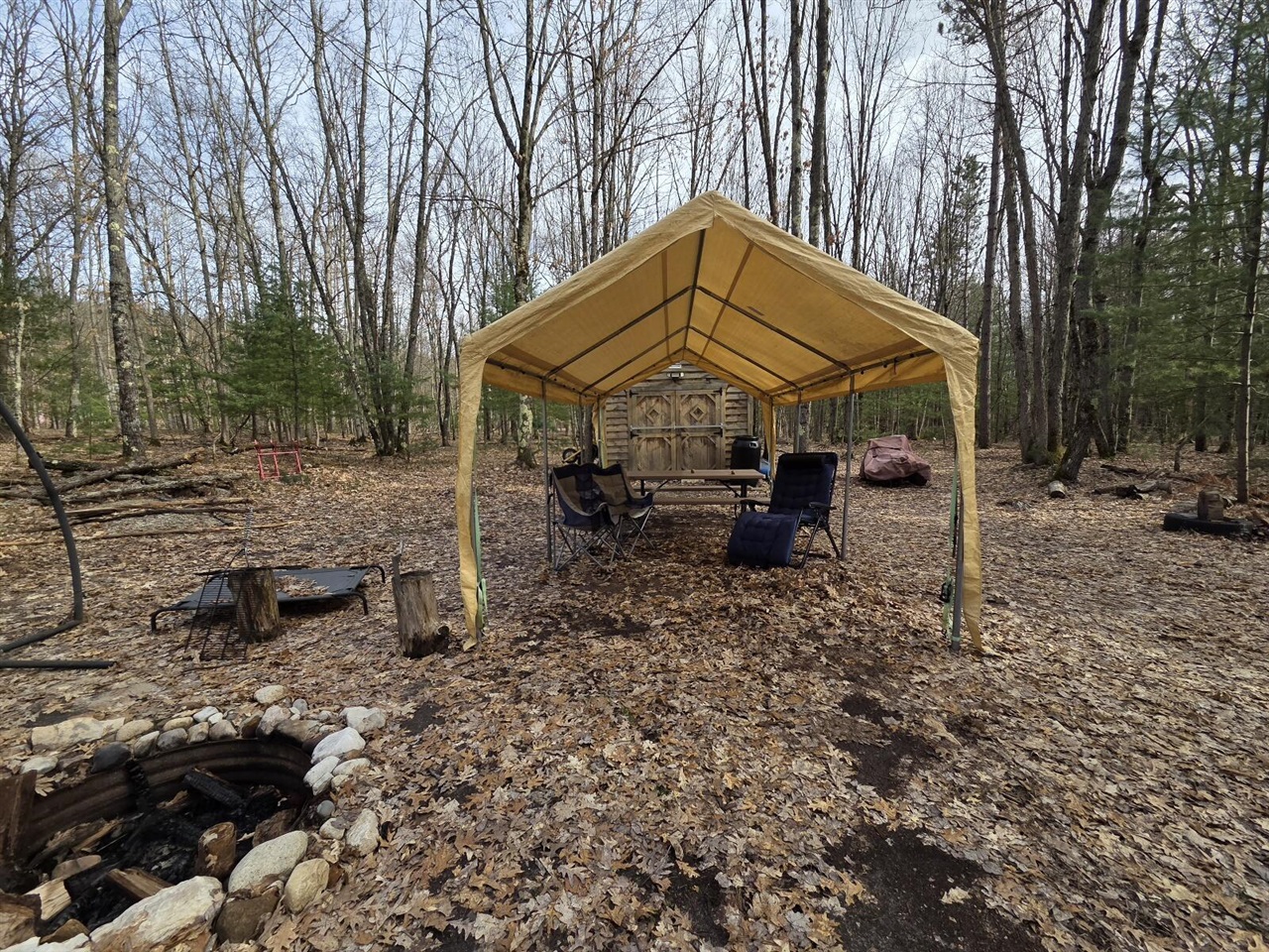 00 6 Mile Road, Irons, MI, 49644