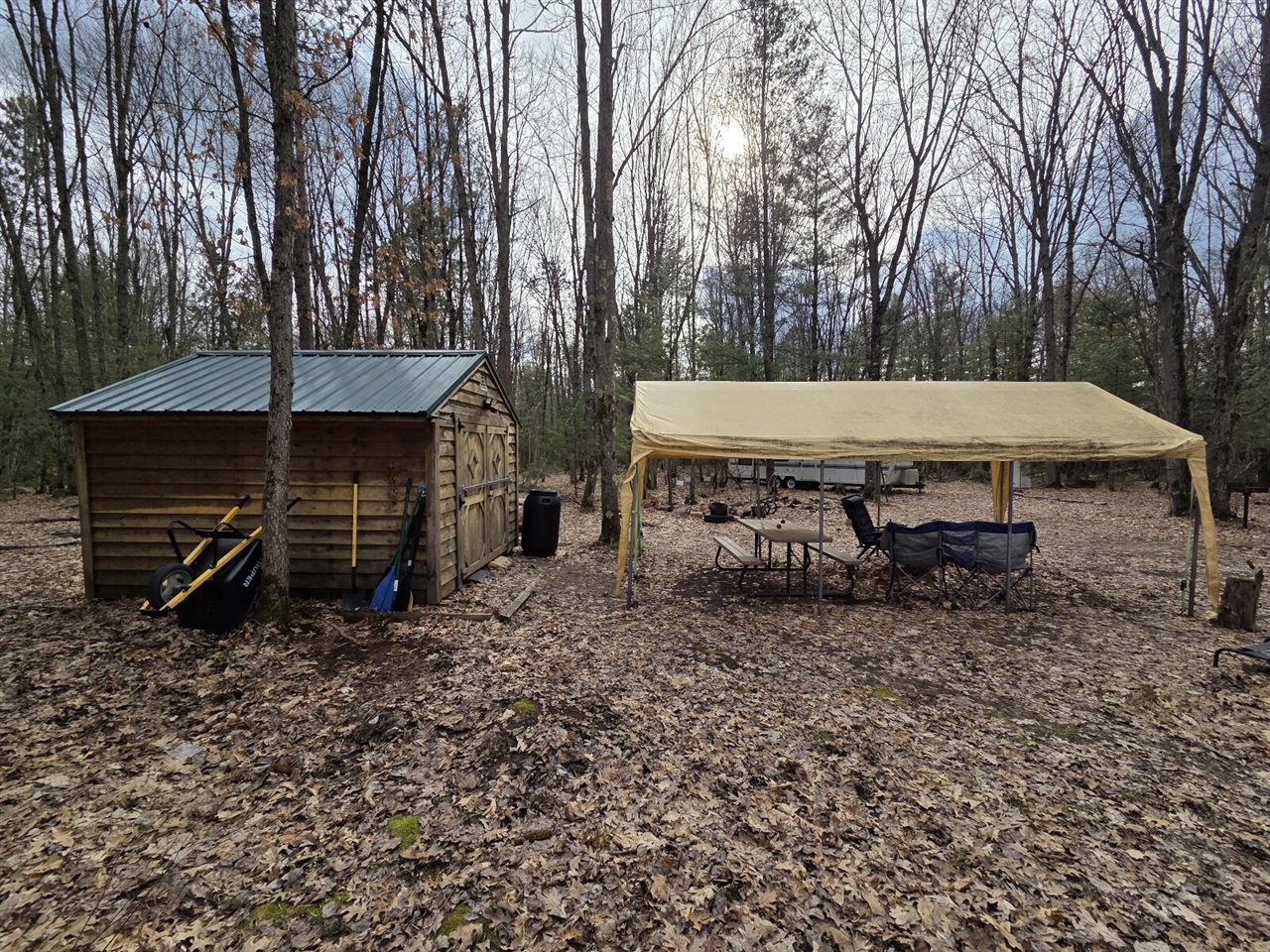 00 6 Mile Road, Irons, MI, 49644