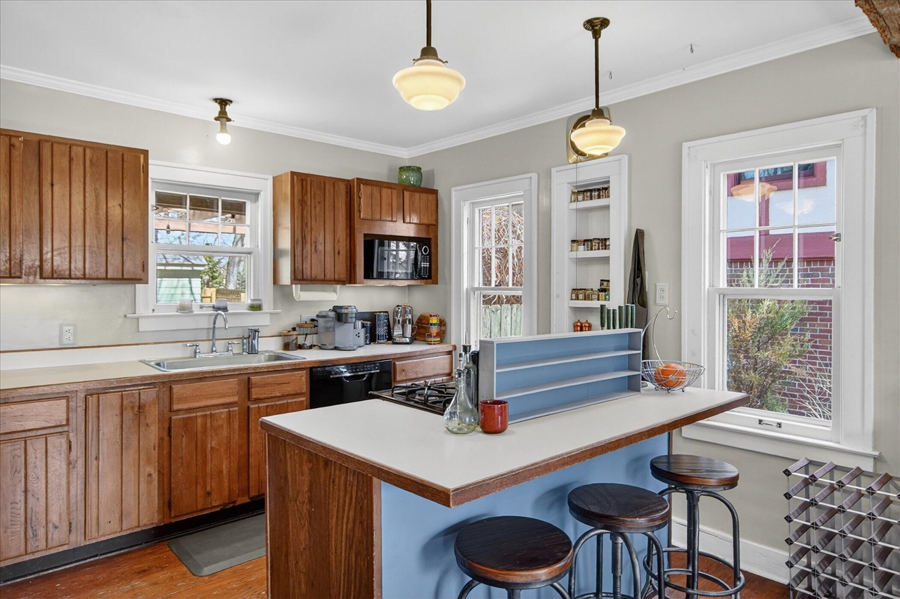 1732 Jackson Avenue, Ann Arbor, MI, 48103-4038