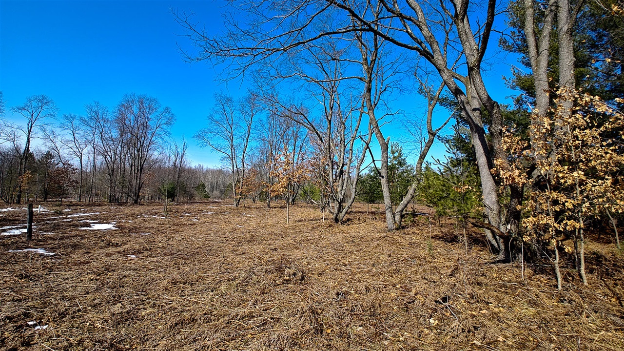 VL Mena Creek Crossing, White Cloud, MI, 49349