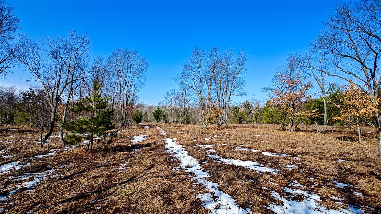 VL Mena Creek Crossing, White Cloud, MI, 49349