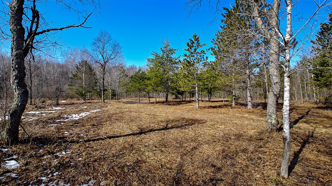 VL Mena Creek Crossing, White Cloud, MI, 49349