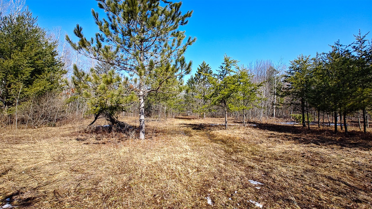 VL Mena Creek Crossing, White Cloud, MI, 49349